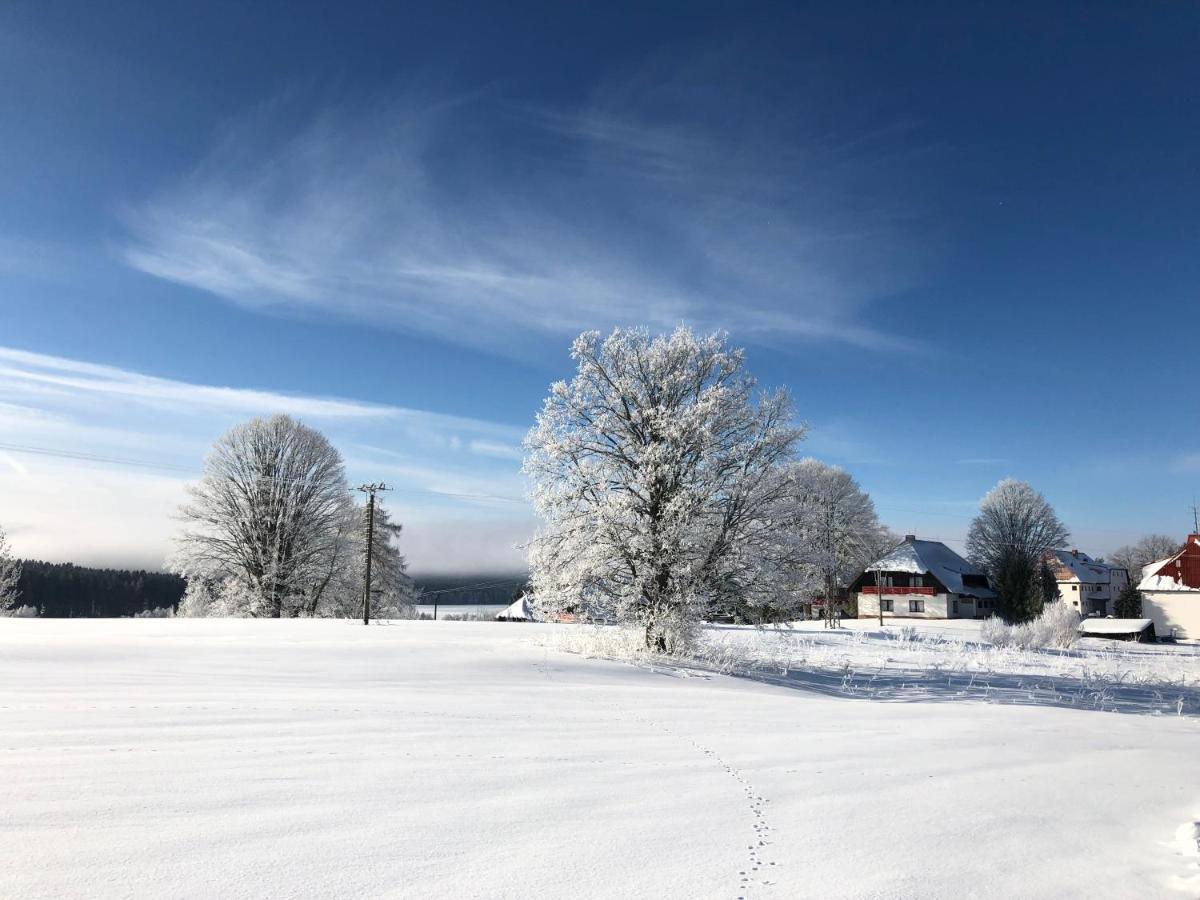 Fontána Lipno Hotel Černá v Pošumaví Kültér fotó